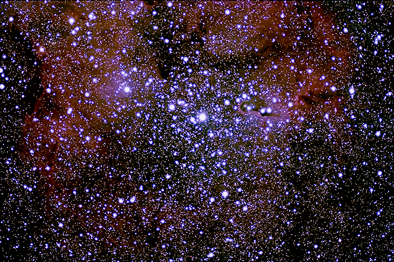 Elephant's Trunk  Nebula